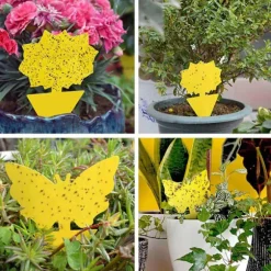 20 -Pack Flycatchers - Fly Trap - Butterfly gul