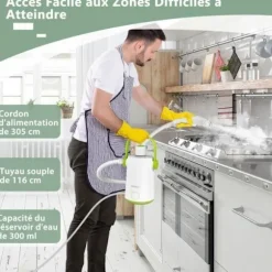 Håndholdt Dampsuger 1000W COSTWAY Madras Bugs - 300ml Tank 10 Tilbehør Temperatur op til 95°C 3 Bar Hvid+Grøn Vit+grön