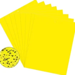 Klæbefælde til skadedyr Fluesnapper 20-pak Yellow 20x10 cm Yellow 20x10 cm