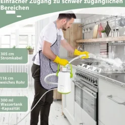 Multi-purpose damprenser bærbar håndholdt damprensemaskine med 1000 W power green