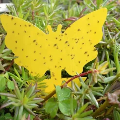 100-pak - Fluefanger / Fluefælde / Myggefanger - Fanger fluer Yellow Gul