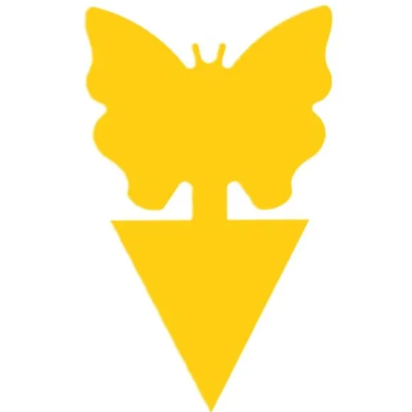 100-pak fluefanger / Klisterfælde