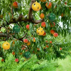 4-pak fluekugle frugtflue citrus stor frugtflue klæbrig bord frugtfluebold frugtbutik frugtflue sticky needle bifælde (gul + grøn)