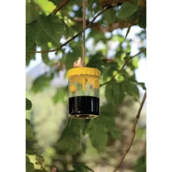 Windhager Wh-03103 Hvepsefælde, Dobbeltpakke