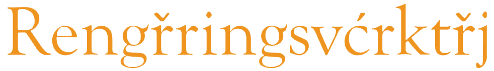 Rengøringsværktøj